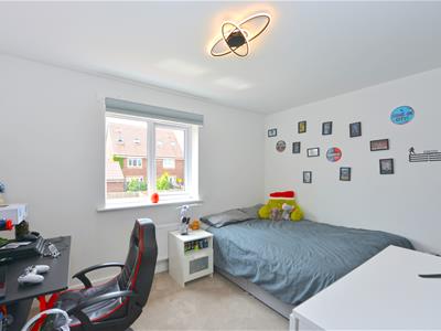 Picture 23